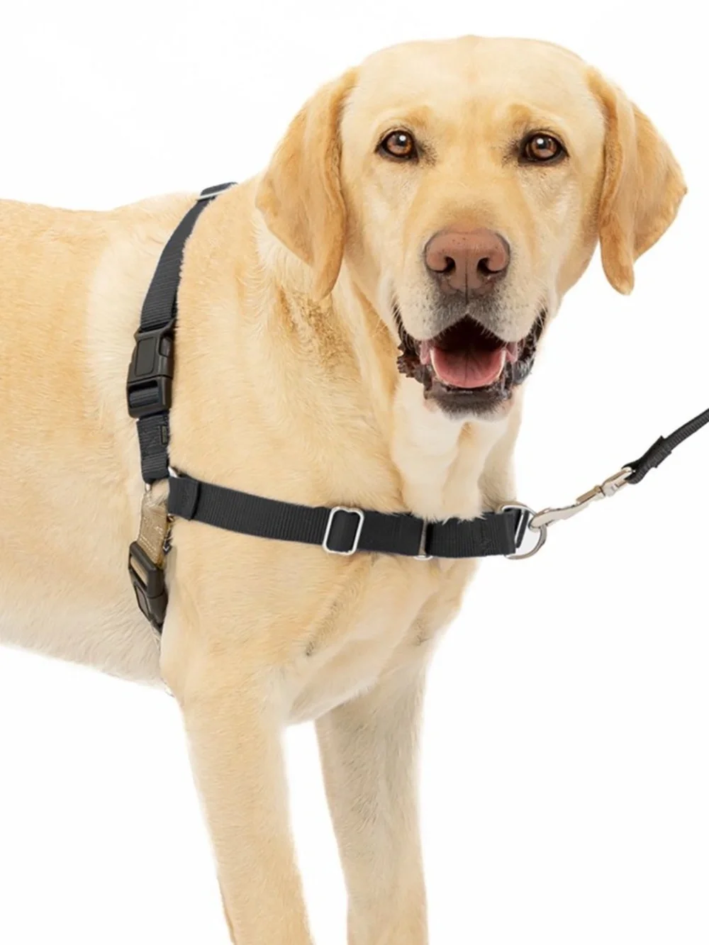 PetSafe® Easy Walk Dog Harness, No Pull Dog Harness Size M/L